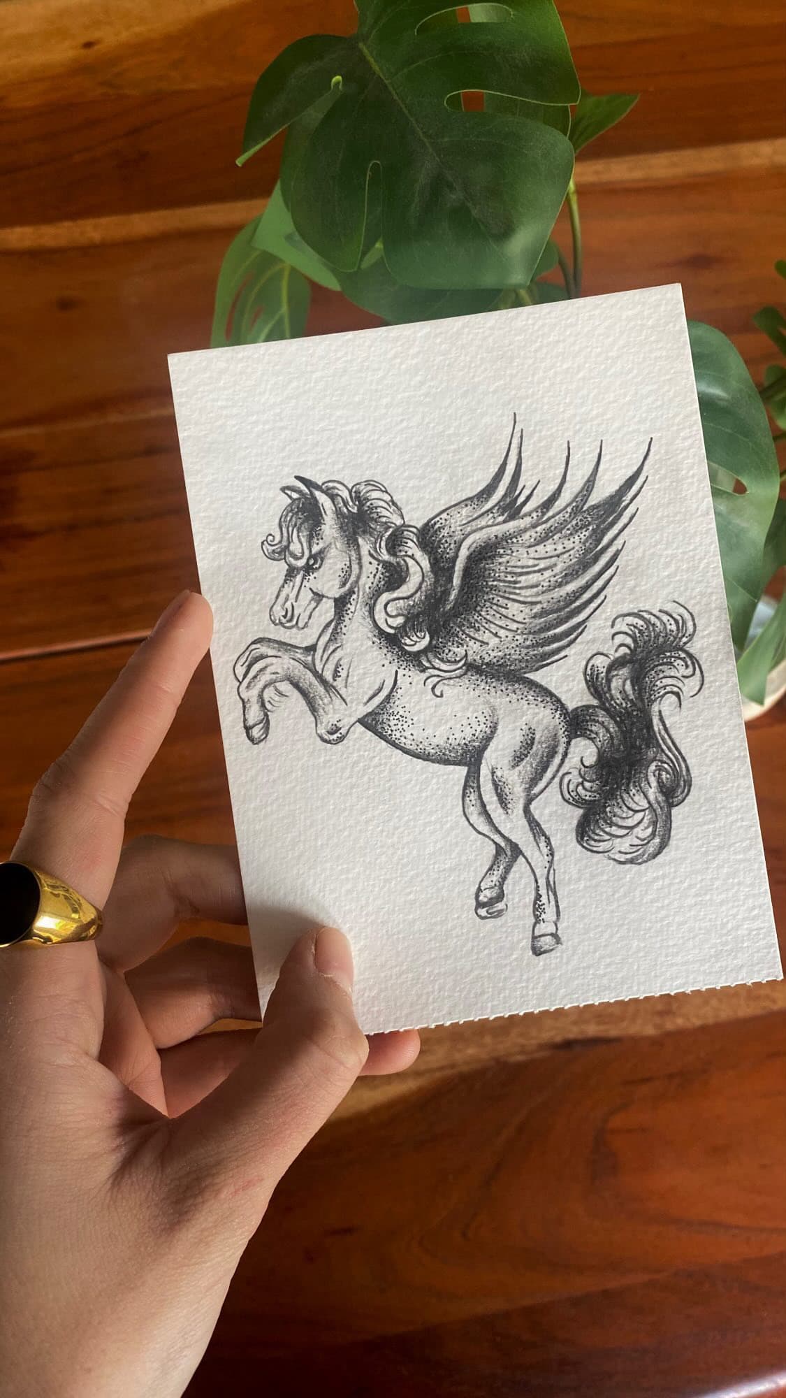 tinta sobre papel — pegaso